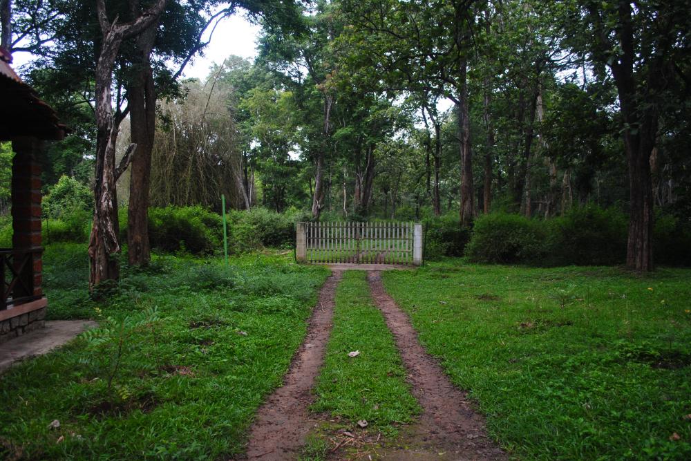 Dubare Elephant Camp